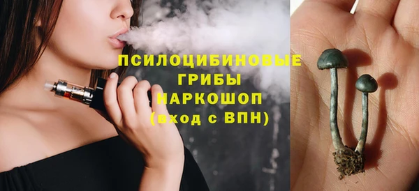 прущие грибы Покачи