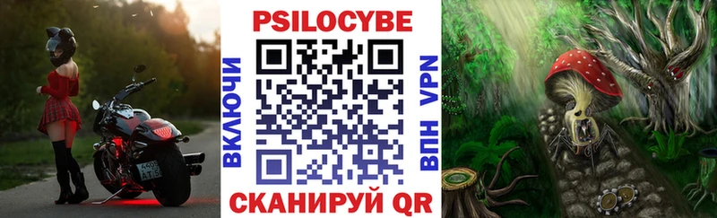 дарк нет как зайти  Жердевка  Псилоцибиновые грибы MAGIC MUSHROOMS 