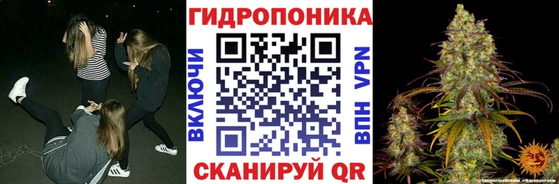 Марихуана VHQ  omg сайт  Жердевка 